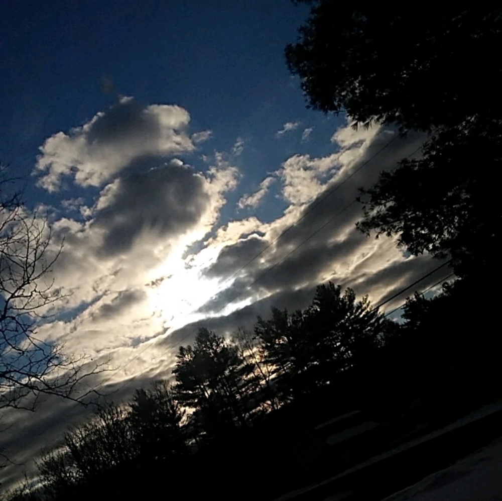 Meet your Posher, Shay